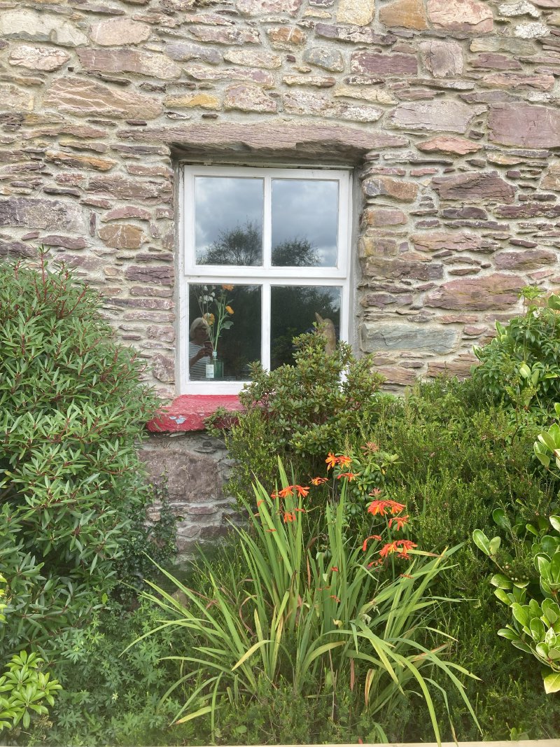 Doon Cottage Dining Window View